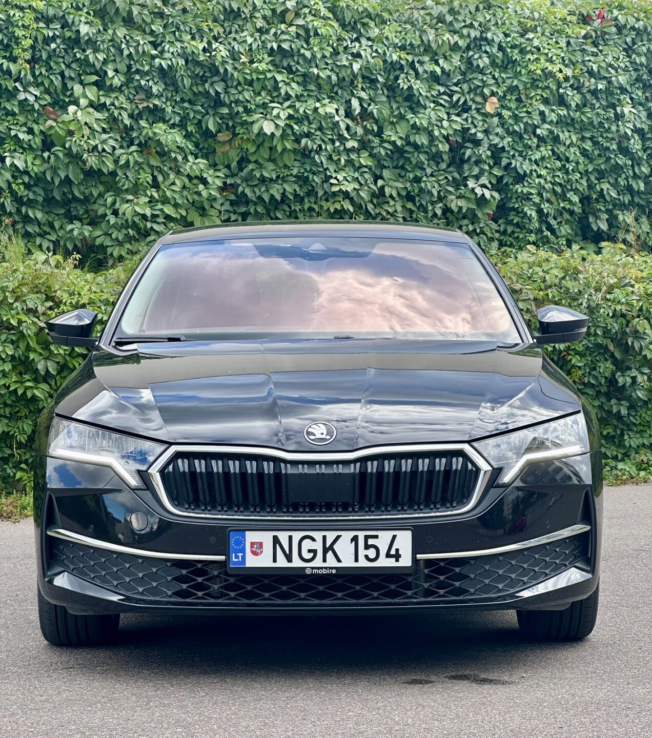 Skoda Octavia 2024