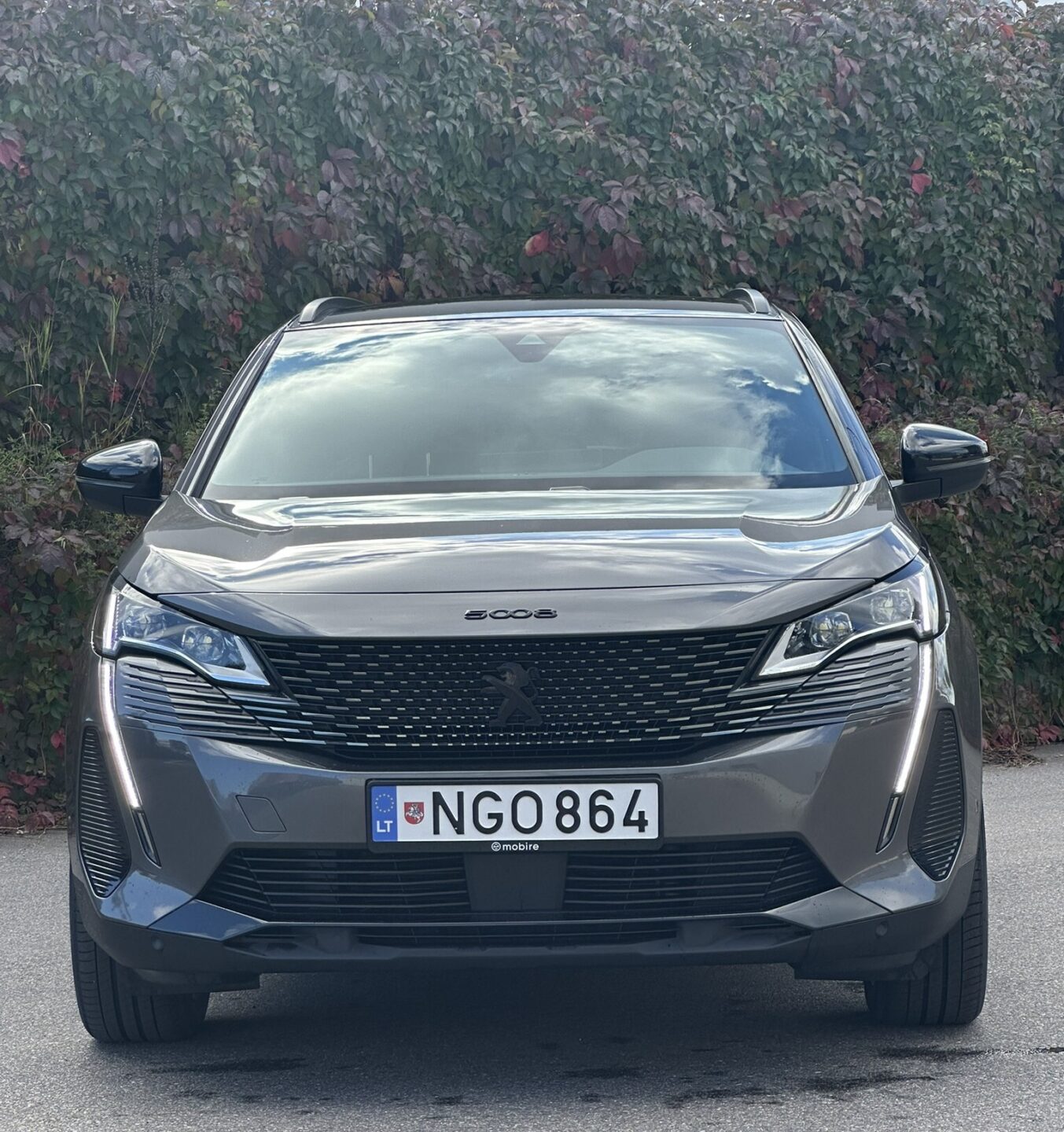Peugeot 5008 2024